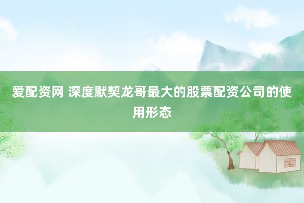 爱配资网 深度默契龙哥最大的股票配资公司的使用形态